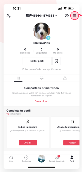 Paso 1: abrir menú del perfil en TikTok